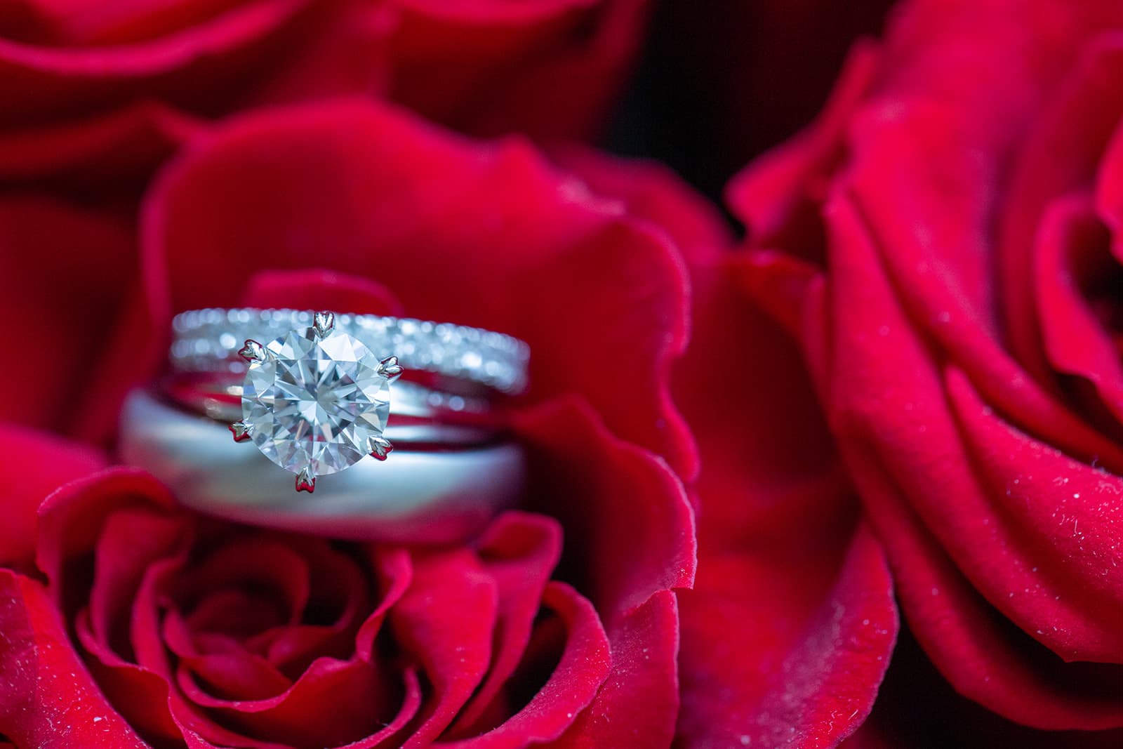 Karni & Zilvinas Wedding Photo 34